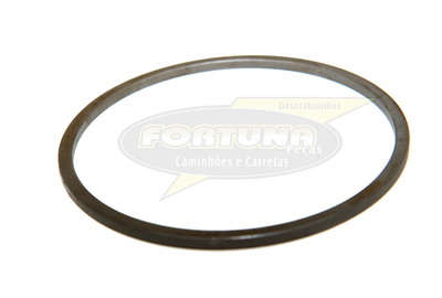 Foto de ANEL AJUSTE EIXO SEC. CÂMBIO ZF 16S1650 4.80MM - Marca Compatível